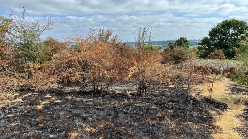 Today in Rugeley — 28 August — Rugeley news photo (BBC News — Rugeley)